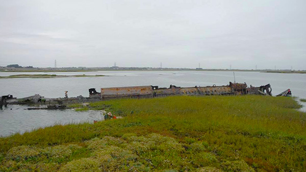 Sub Island